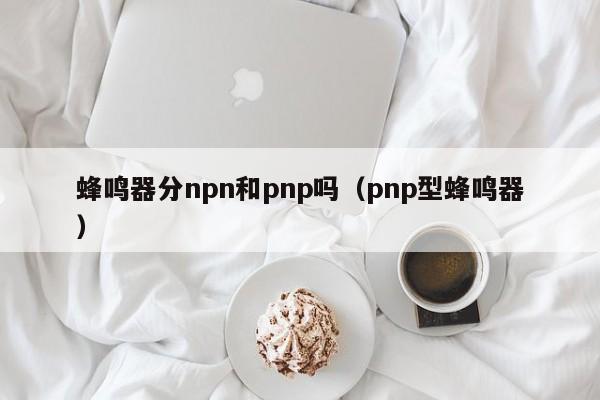 蜂鸣器分npn和pnp吗（pnp型蜂鸣器）-第1张图片-BETVLCTOR伟德官方网站-伟德bevictor中文版